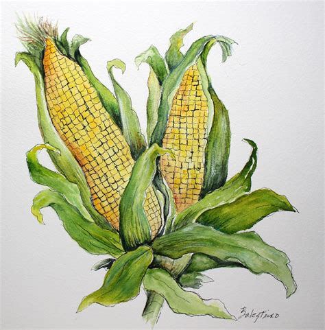 Kitchen Art Corn Husk Kitchen Wall Art Original Watercolor | Etsy