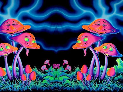 Trippy Mushroom Wallpaper - WallpaperSafari