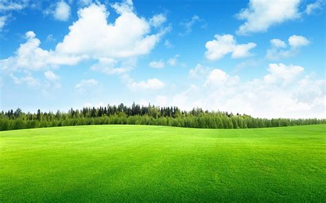 HD wallpaper: beautiful green grass-Nature Desktop Wallpaper, green ...