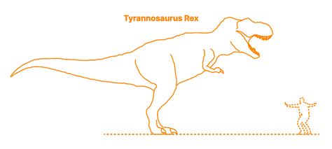 Tyrannosaurus | T-Rex (Tyrannosaurus Rex) Dimensions & Drawings ...