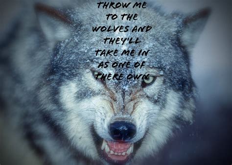 Wolf Quotes Wallpapers - Top Free Wolf Quotes Backgrounds - WallpaperAccess