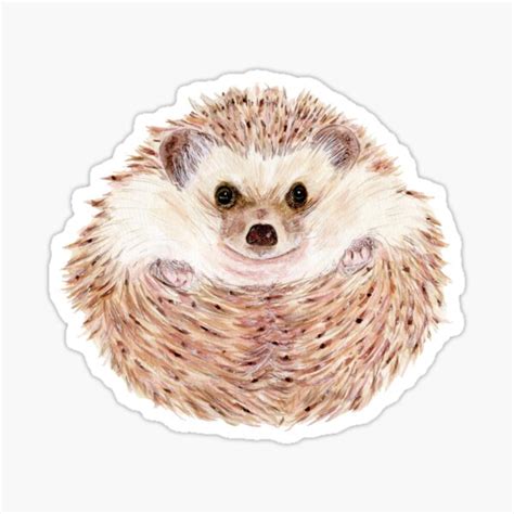 "Hedgehog" Sticker for Sale by VimandVerve | Redbubble