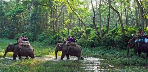 Terai Region - Volunteering in Nepal | Internship in Nepal | Volunteer ...