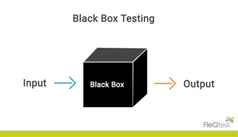 Black Box Testing - Understanding the Basics - Reqtest