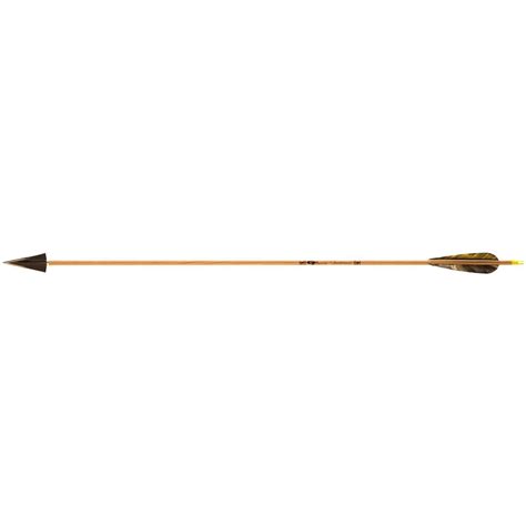 12-Pk. Gold Tip® Traditional Hunter Shafts - 213991, Arrows & Shafts at ...