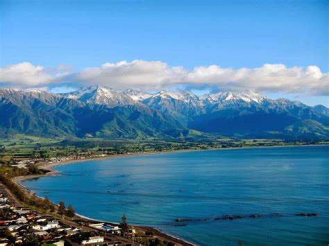 Christchurch Day Tour - Kaikoura Whale Watching