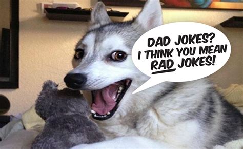 20 Of The Best (or Worst) Funny (and Clean) Dad Jokes for Father’s Day ...