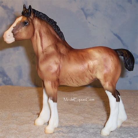 Clydesdale Foal