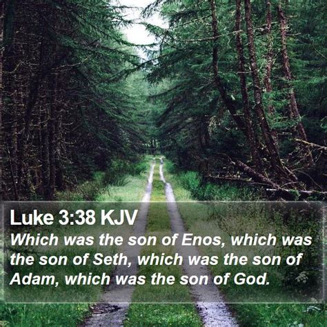 Luke 3 Scripture Images - Luke Chapter 3 KJV Bible Verse Pictures