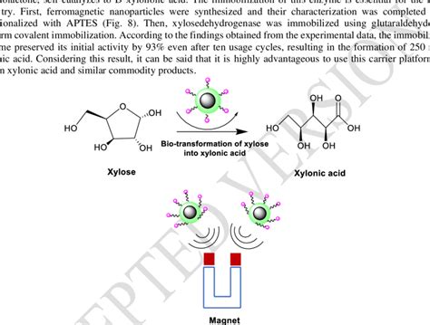 Synthesis of xylanase immobilized ferromagnetic NPs. (MS and ...