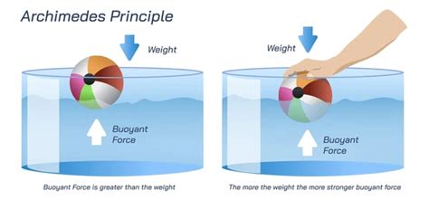 Archimedes Principle: Statement, Derivation, Application, Archimedes ...