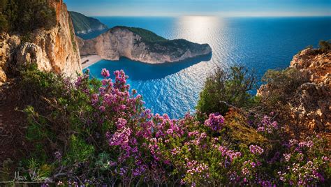 Coast Flower Greece Horizon Mykonos Ocean Pink Flower Rock Wallpaper ...