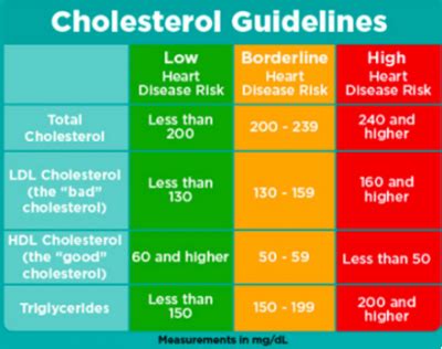 Cholesterol Education with the UConn Dietetics Program | Healthy Family ...