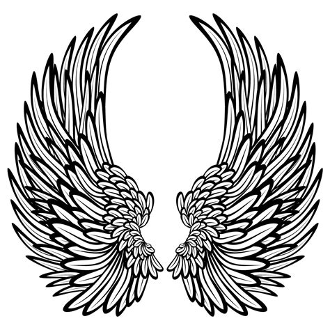 Black And White Angel Wings - ClipArt Best