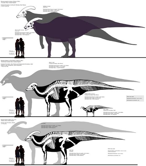 Parasaurolophus skeletals by Fadeno on DeviantArt