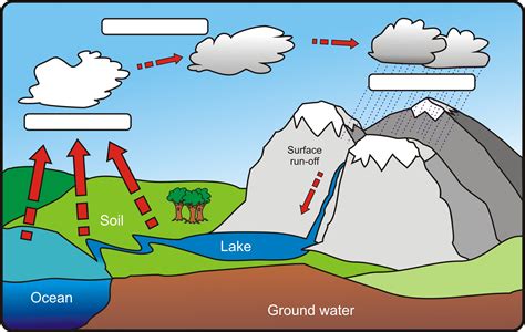 10+ Water Cycle Diagram To Label And Color PNG | Anatomy of Diagram