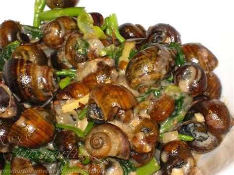 exotic food recipes & other gastronomic delights: escargot