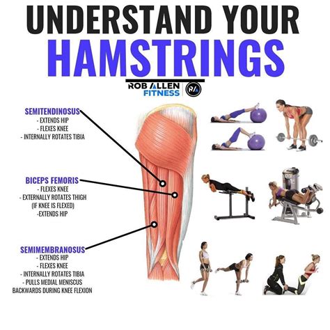 Glutes get all the love and hamstrings tend to get tossed aside. They ...