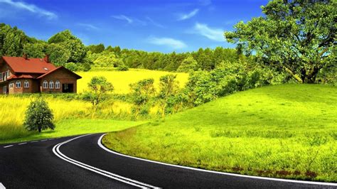 Road Between Green Grass Field Trees Blue Sky Background HD Nature ...