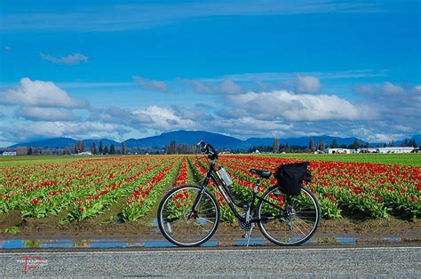 Bike Skagit - Visit Skagit Valley