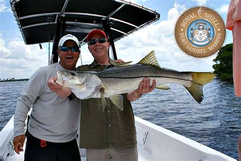 Snook Fishing Season in the Gulf | Southwest Florida