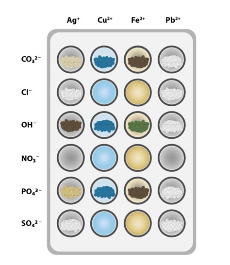 Solved First spot plate results Use the images provided | Chegg.com