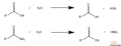 What is Hydrolysis? | ChemTalk