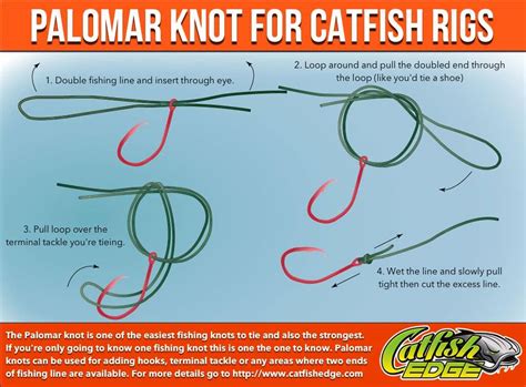 Four Fishing Knots Every Catfish Angler Should Know