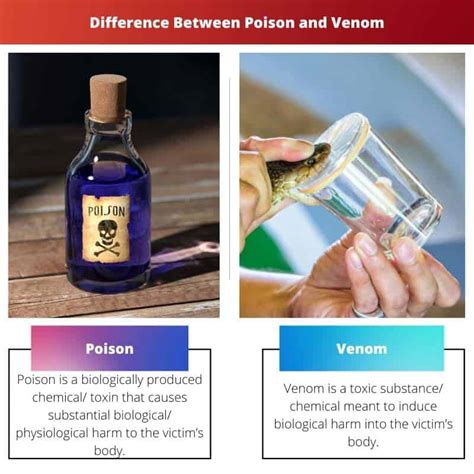 Poison vs Venom: Difference and Comparison