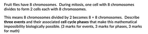 Fruit flies have 8 chromosomes_ During mitosis, one c… - SolvedLib