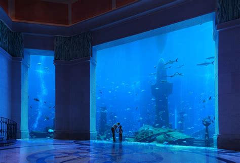 Atlantis The Palm, Dubai - Fairy Tale Palace Of The Lost City With The ...