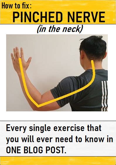 Pin on Exercises For A Pinched Nerve In The Neck