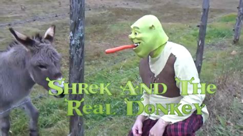 Funny Report Memes Donkey shrek funny - weasasa