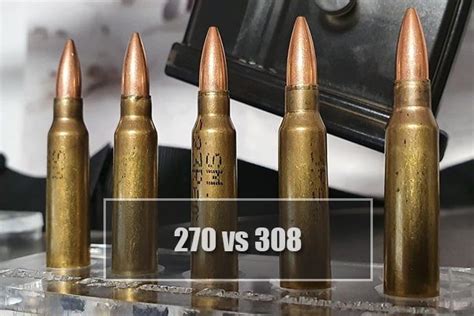 The Differences Between 270 vs 308 Winchester Ammo - WeaponSpecialist