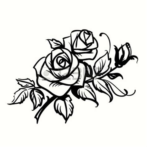 Download High Quality rose clipart black and white vector Transparent ...