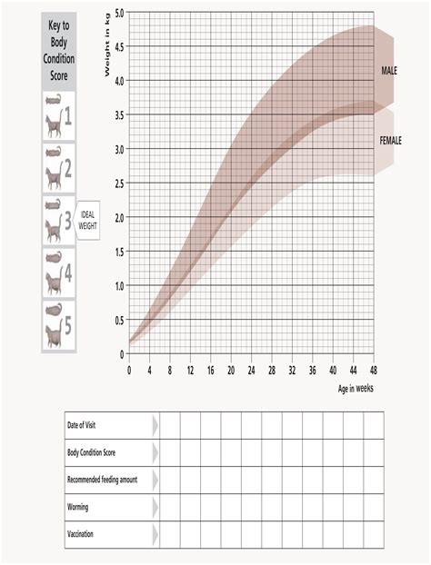 Kitten Growth Chart | Hill's Pet