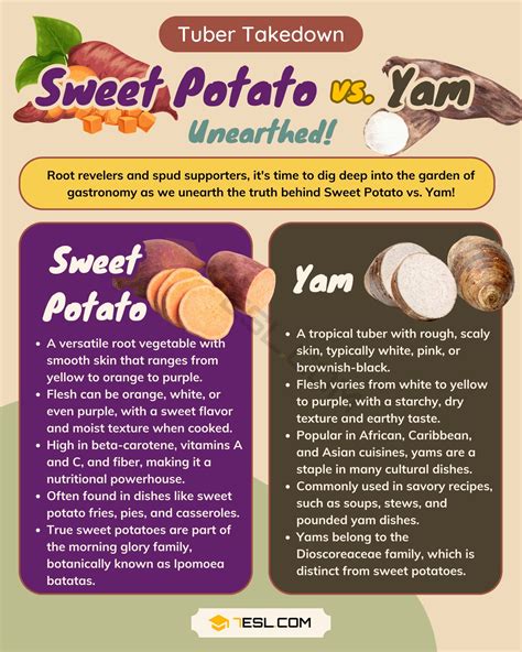 Sweet Potato vs. Yam: The Difference between Sweet Potato and Yam • 7ESL