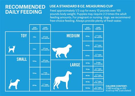 How Much Food Does A 60 Pound Dog Need