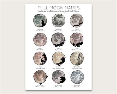 Name Of Full Moon January 2024 - Trixi Violette