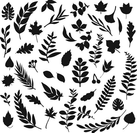 Black leaf inked silhouettes set. vector isolated illustration 10756583 ...