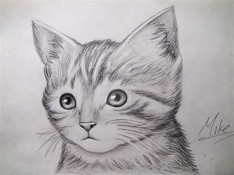 Cute Kitty Drawing | Cat face drawing, Kitten drawing, Realistic cat ...