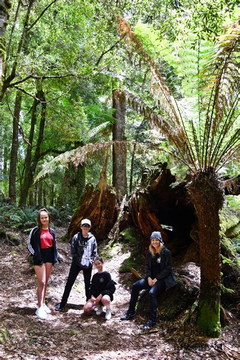 The Tarkine Drive, Tasmania - Aussie Destinations Unknown