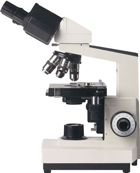 Microscope | Types, Parts, History, Diagram, & Facts | Britannica