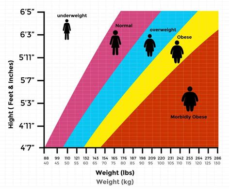 Indian BMI Calculator for Men & Women | BMI Chart - Truweight