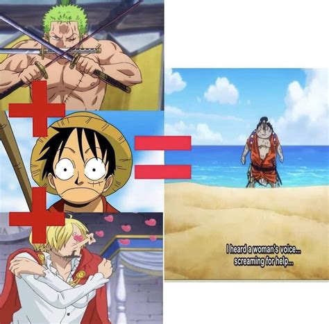 Luffy + Zoro + Sanji = ???? : r/MemePiece