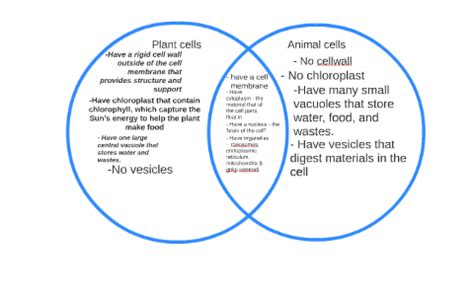 Plant cells and Animal cells Venn Diagram by emon brawner on Prezi