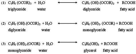 Hydrolysis reaction of vegetable oil. | Download Scientific Diagram