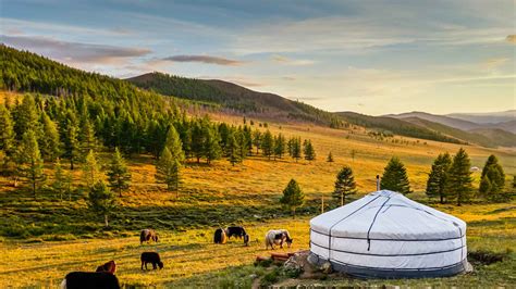 Mongolia 2022: Top 10 Tours, Trips & Activities (with Photos) - Things ...