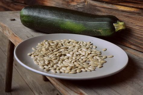 How To Save Zucchini Seeds - 500 Seeds Per Zucchini!