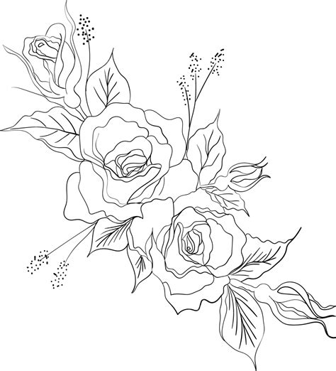 Wild Rose Flowers Drawing And Sketch With Line Art, Rose Drawing, Rose ...